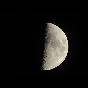 Meet your Posher, Danny